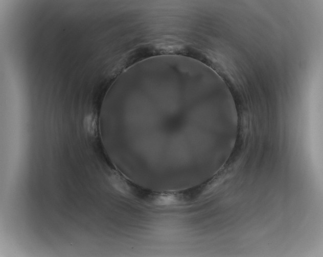 X0000112200177200908071441