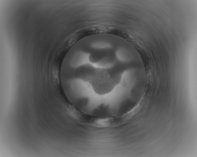 X0000112200178200908071441
