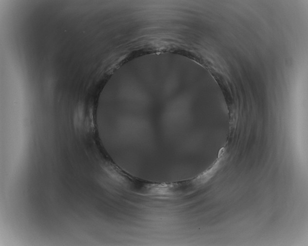 X0000112200182200908071441