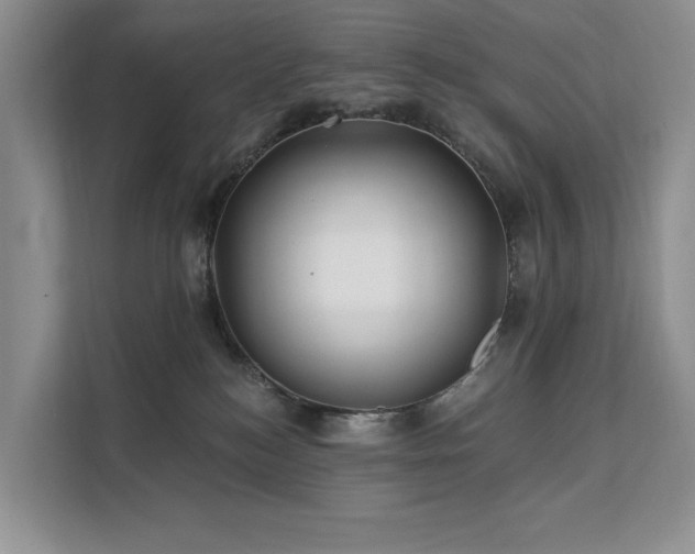 X0000112200184200908071441