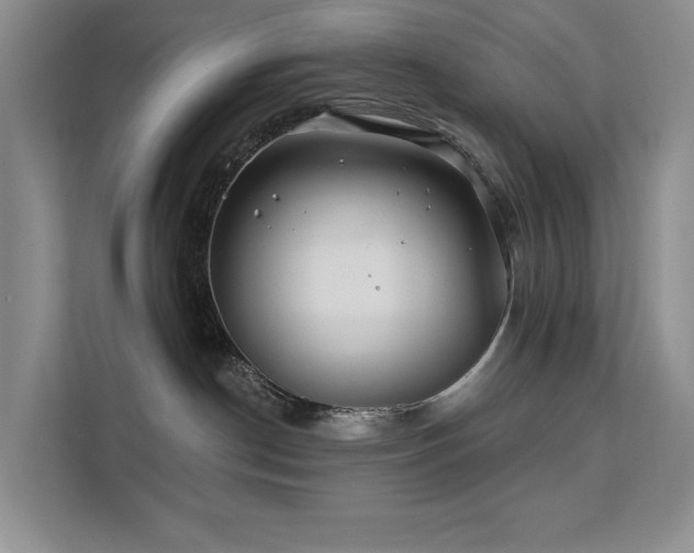 X0000112200190200908071441