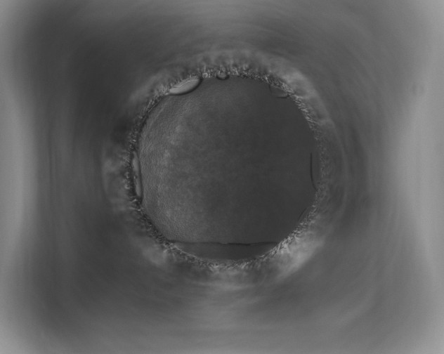 X0000112200192200908071441
