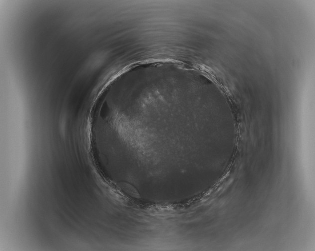X0000112200194200908071441