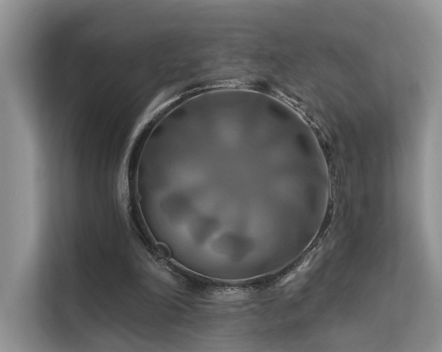 X0000112200198200908071441