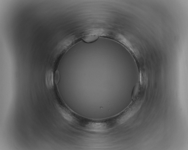 X0000112200205200908071440