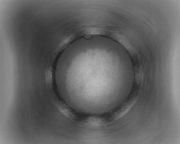 X0000112200207200908071440