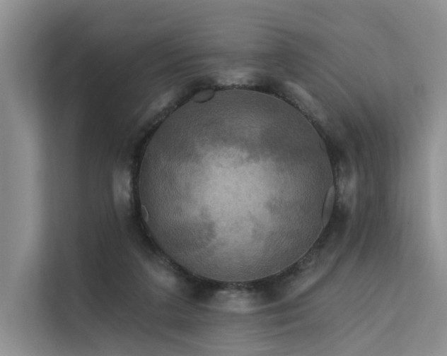 X0000112200211200908071440