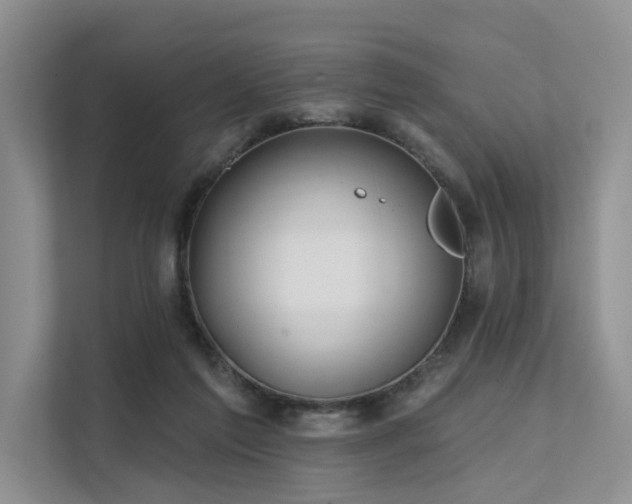 X0000112200213200908071440