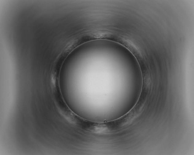 X0000112200214200908071440
