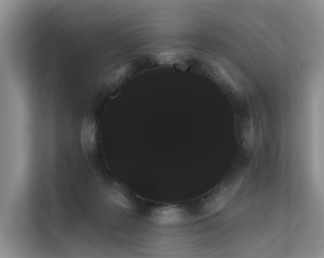 X0000112200219200908071440