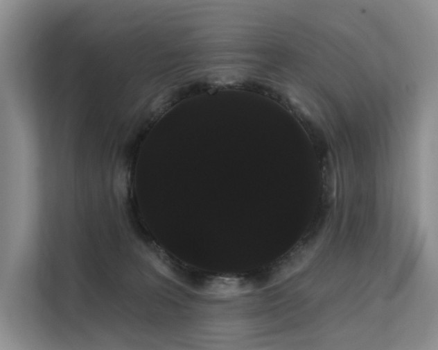 X0000112200227200908071440