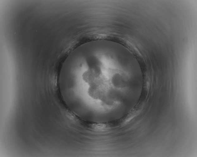 X0000112200230200908071440