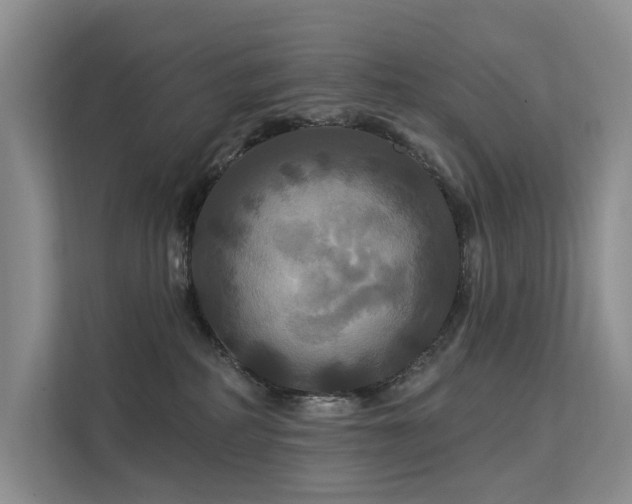 X0000112200234200908071440