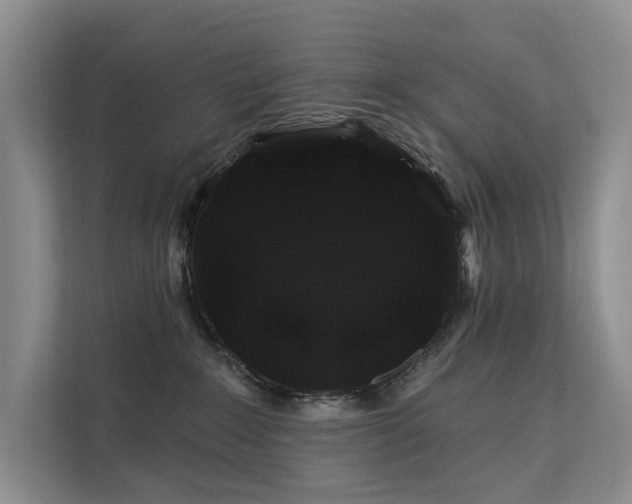 X0000112200235200908071440