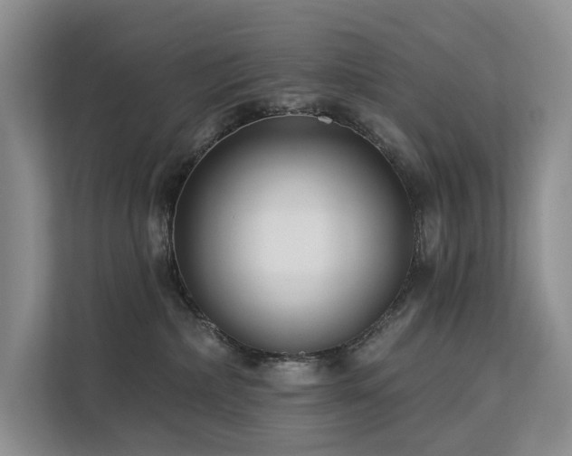 X0000112200236200908071440