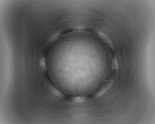 X0000112200238200908071440