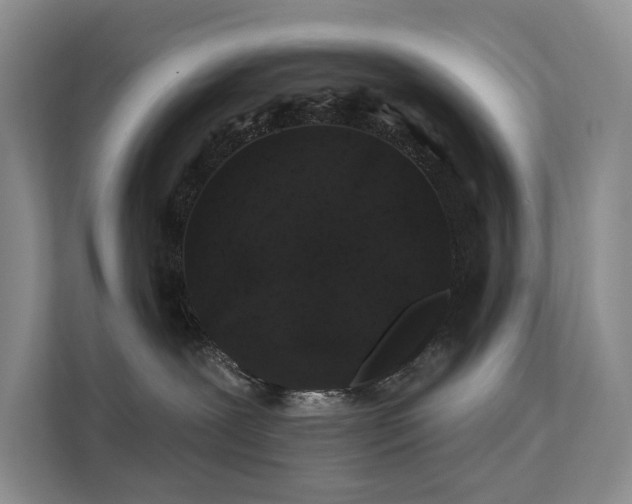 X0000112200239200908071440