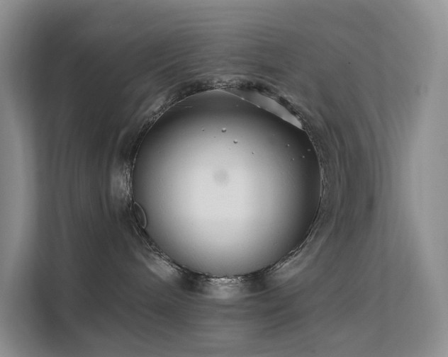 X0000112200240200908071440