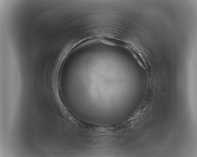 X0000112200241200908071439