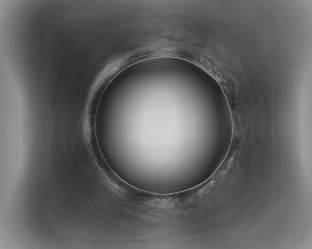 X0000112200245200908071439