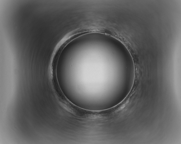 X0000112200246200908071439
