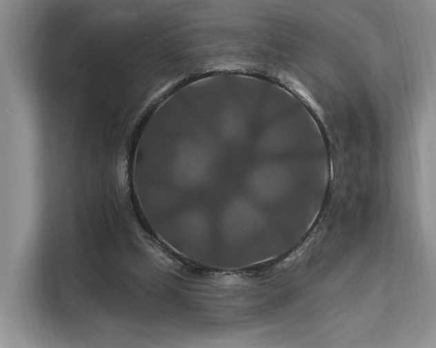 X0000112200249200908071440