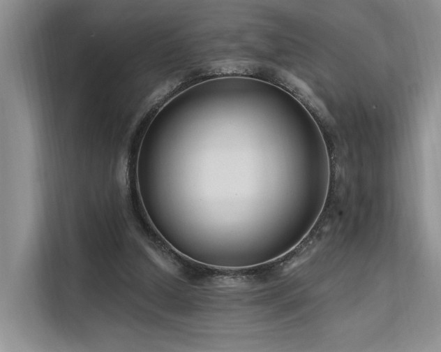 X0000112200250200908071440