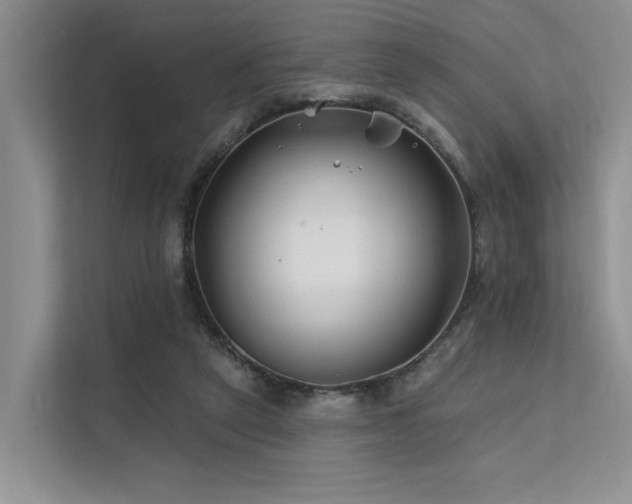 X0000112200257200908071440