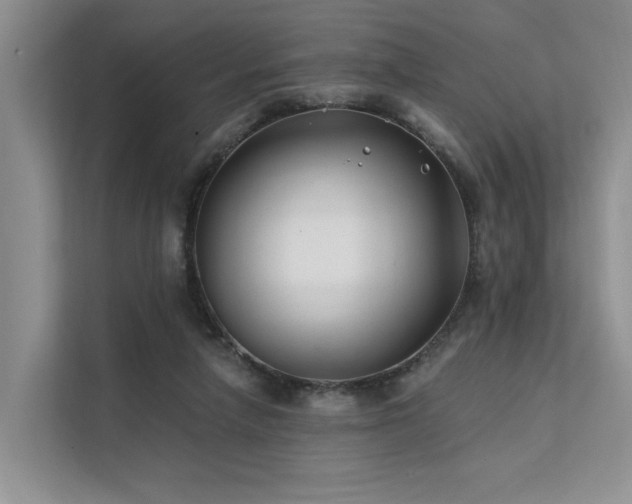 X0000112200258200908071440