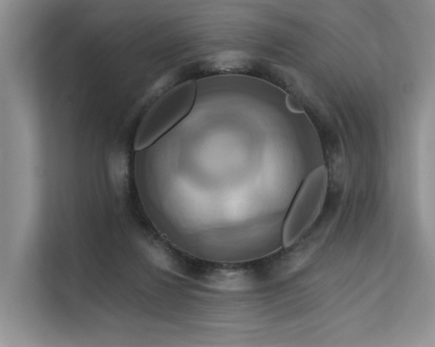 X0000112200260200908071440