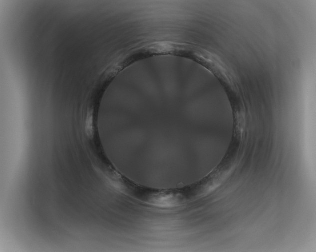 X0000112200267200908071440