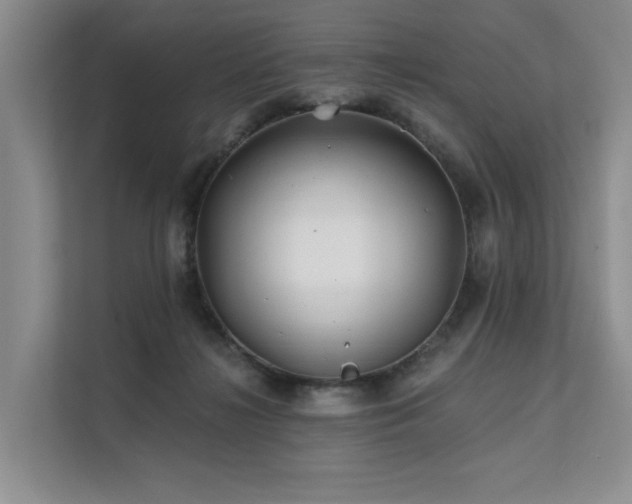 X0000112200268200908071440