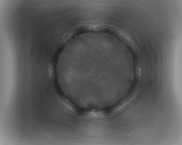 X0000112200270200908071440