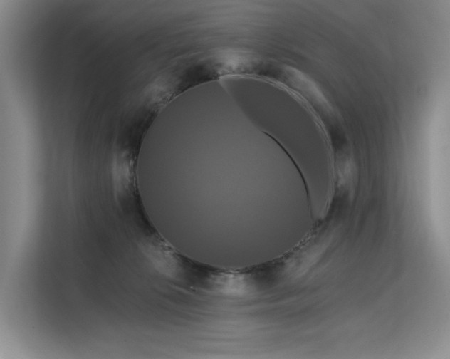 X0000112200276200908071440