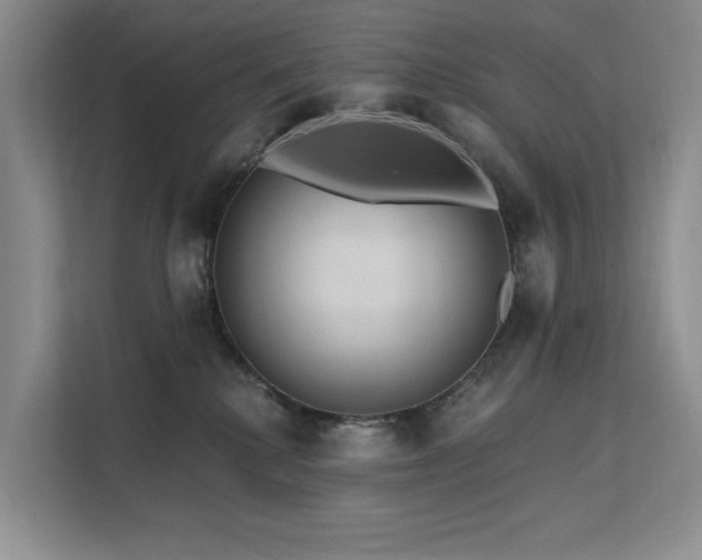X0000112200280200908071440