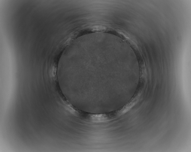 X0000112200281200908071440