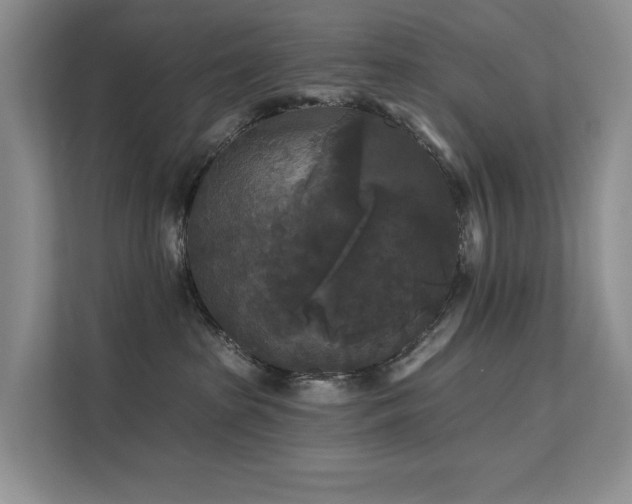 X0000112200285200908071440