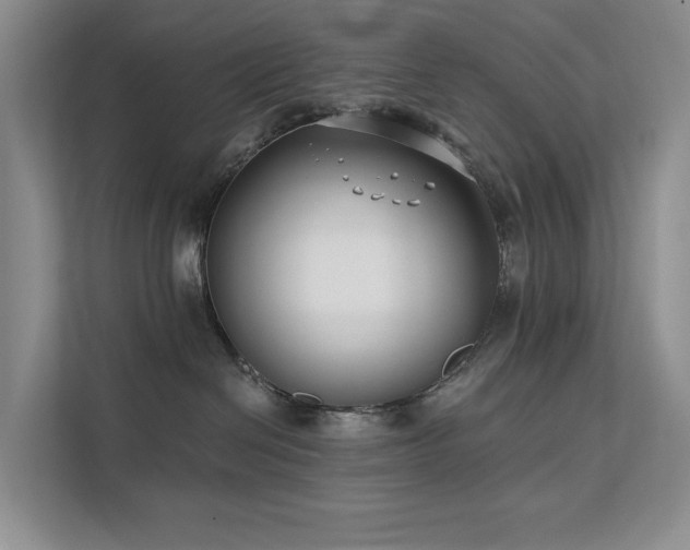 X0000112200286200908071440