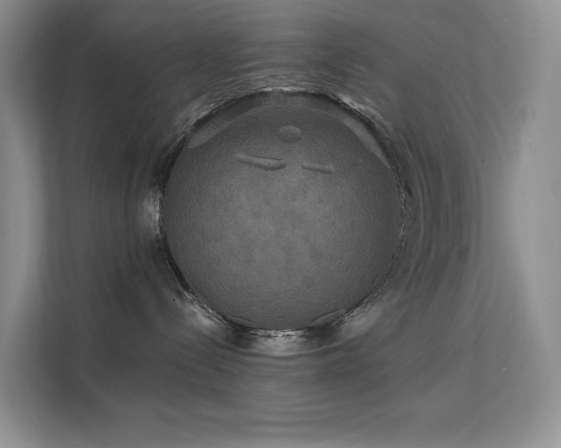 X0000112200288200908071440
