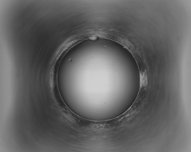 X0000112200291200908071439