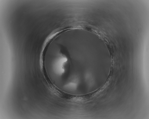 X0000112200294200908071439