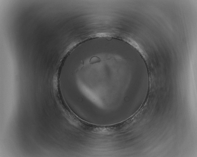 X0000112200297200908071439