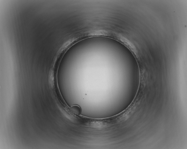 X0000112200298200908071439