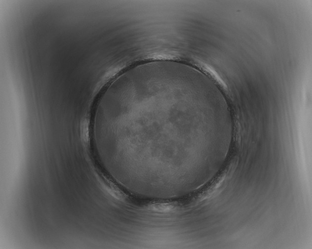X0000112200299200908071439