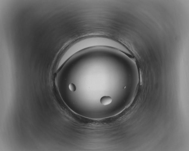 X0000112200300200908071439