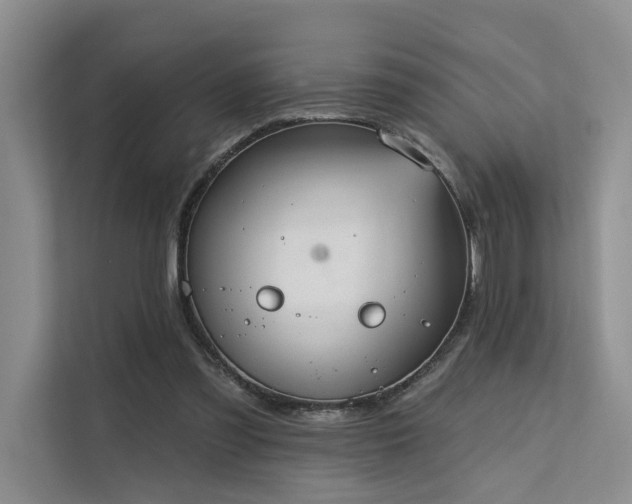 X0000112200301200908071439