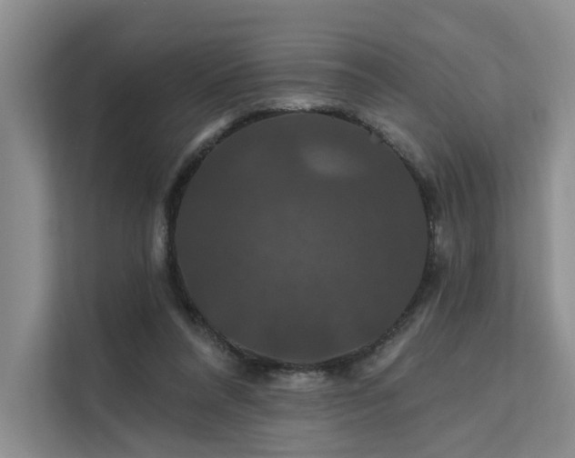 X0000112200304200908071439