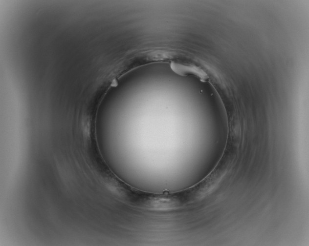 X0000112200315200908071439