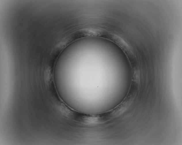 X0000112200318200908071439