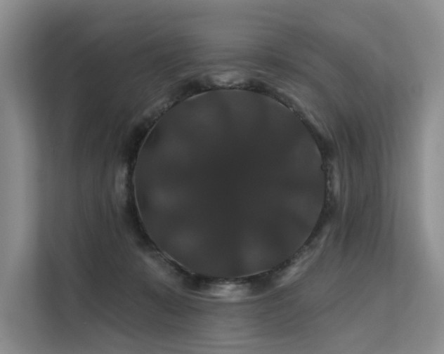 X0000112200319200908071439
